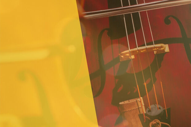 Close up of cello