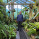 Andrew Hamilton smiling in greenhouse