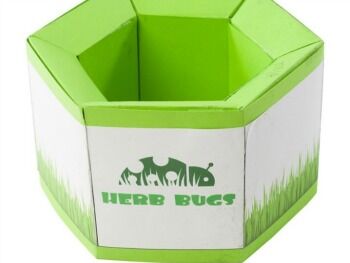 Herb Bugs Box 