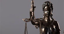 Criminal Justice Processes Research Strand