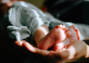 Image of a baby's feet and parent or carers' hand