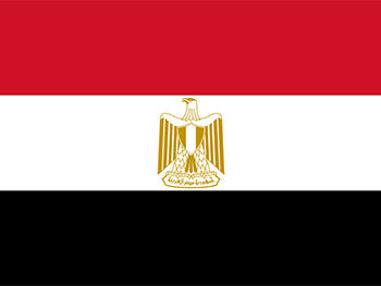 Egypt Flag Lily Hamourtziadou