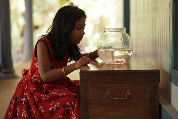 Little girl looking into goldfish bowl