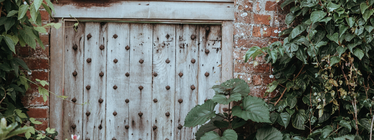 Old garden gate to a walled garden surrounded by plants and leaves