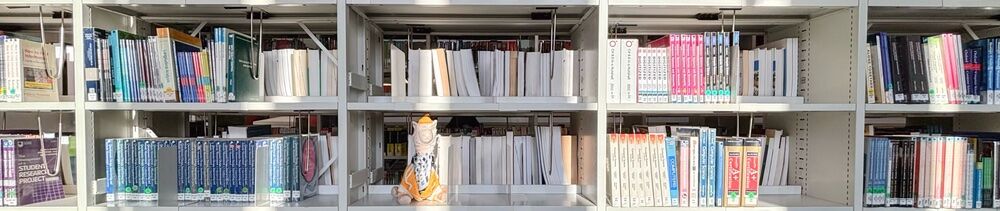 An empty shelf with a the library's mascot: Lenny the llama