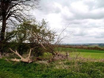 Gibbet Lane