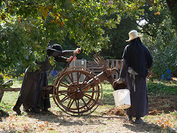 Our Daily Bread- MA Media Production news story- Rachel O Connell