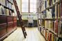 A student studying in the school of art library