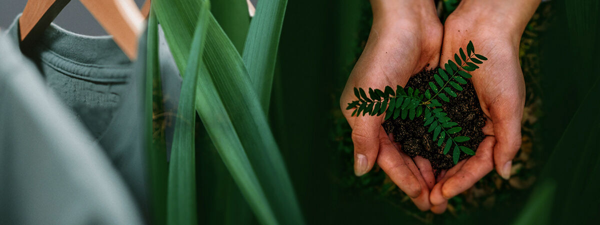 Image of a rack of clothing, plant leaves and hands holding soil with a plant seedling