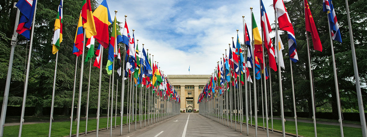 UN Geneva UPR project 
