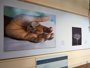 An art gallery wall displaying two framed images. The larger image on the left shows a close-up of a hand holding a small object resembling a fragile house. The smaller, darker image on the right depicts a delicate flower, possibly a rose, outlined in monochrome.